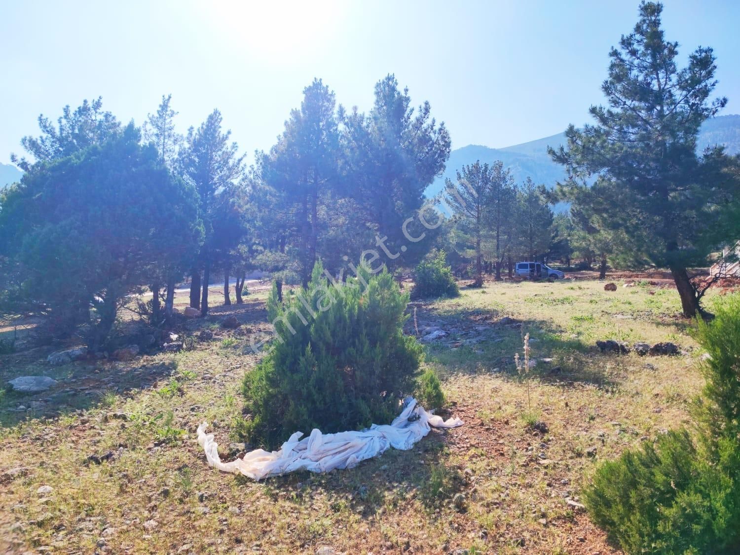 Pozantı Kar Emlaktan Yeni Konacık Yaylası Yüksek Konumlu Doga Manzaralı Satılık 400 M2 Arsa - Görsel 6