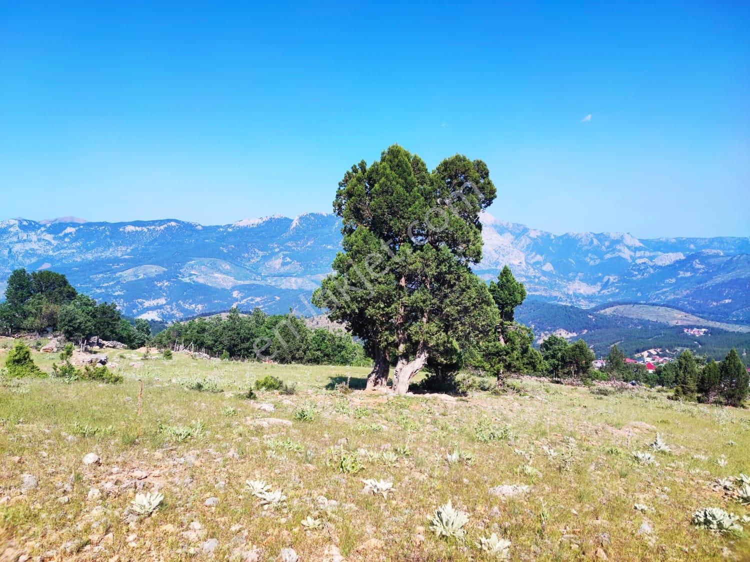 Pozantı Kar Emlaktan Yeni Konacık Yaylası Yüksek Konumlu Doga Manzaralı Satılık 400 M2 Arsa - Görsel 11