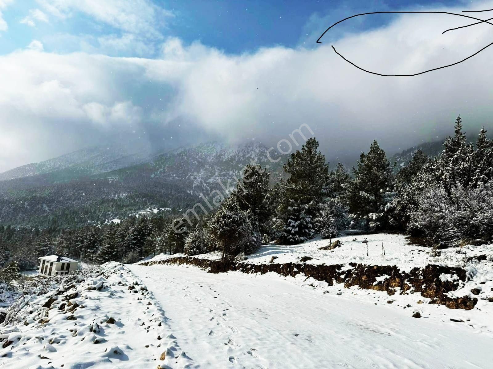 Pozantı Kar Emlaktan Alpu Yaylasında Doğa Manzaralı İmarlı İfrazlı Satılık Yaylalık 400 M2 Arsa - Görsel 20