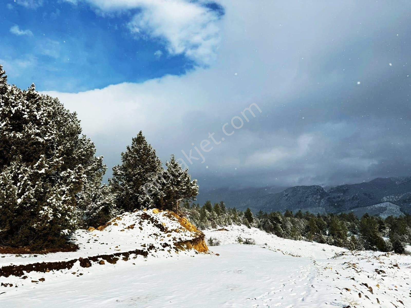 Pozantı Kar Emlaktan Alpu Yaylasında Doğa Manzaralı İmarlı İfrazlı Satılık Yaylalık 400 M2 Arsa - Görsel 15