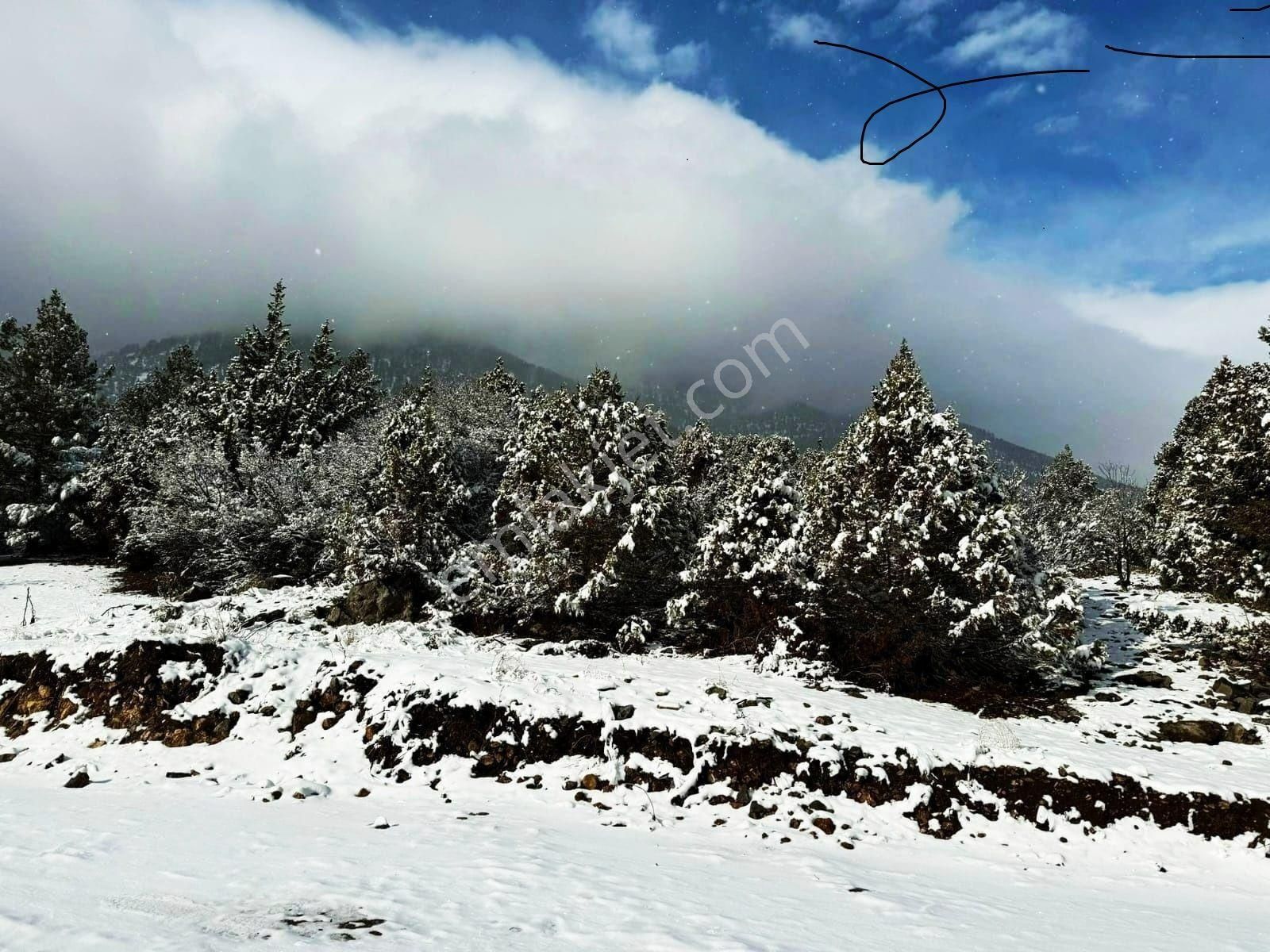 Pozantı Kar Emlaktan Alpu Yaylasında Doğa Manzaralı İmarlı İfrazlı Satılık Yaylalık 400 M2 Arsa - Görsel 19