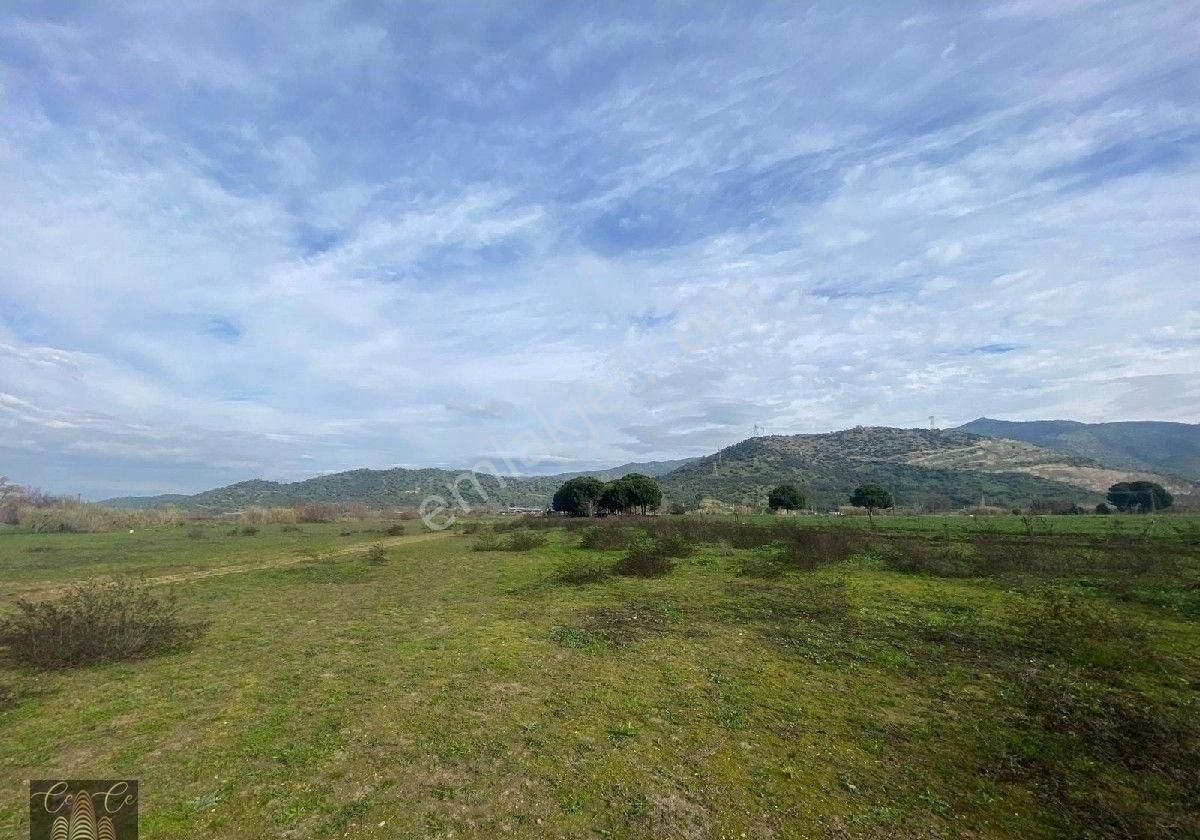 Çine Bahçearası Köyü İçinde 10.728 M2 İçerisinde 1+0 Ev Bulunan Tarla - Görsel 11