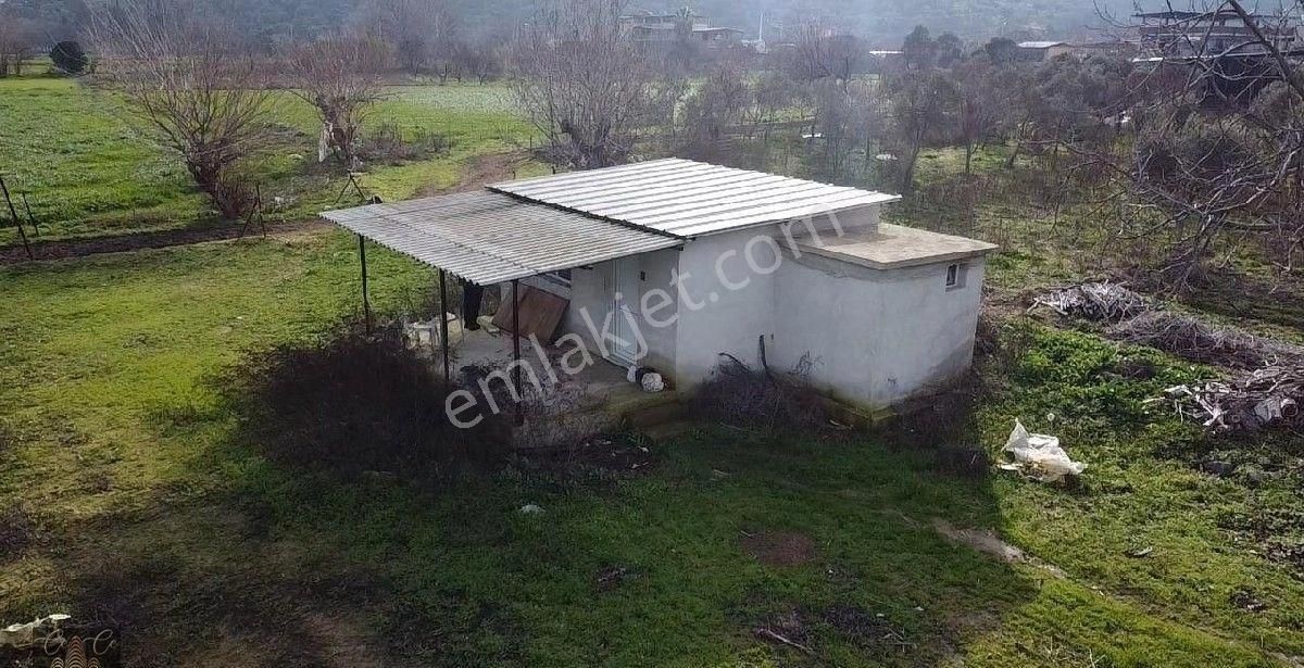 Çine Bahçearası Köyü İçinde 10.728 M2 İçerisinde 1+0 Ev Bulunan Tarla - Görsel 13