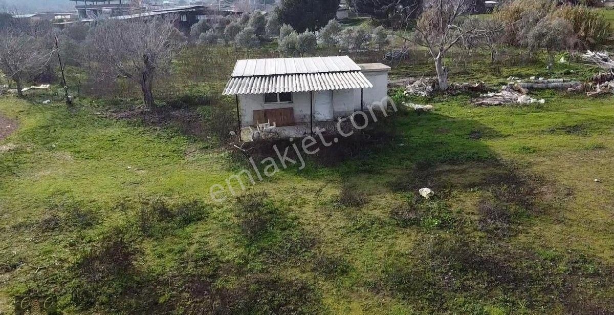 Çine Bahçearası Köyü İçinde 10.728 M2 İçerisinde 1+0 Ev Bulunan Tarla - Görsel 7
