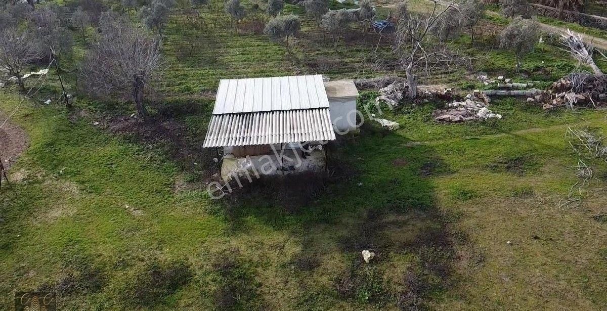 Çine Bahçearası Köyü İçinde 10.728 M2 İçerisinde 1+0 Ev Bulunan Tarla - Görsel 4