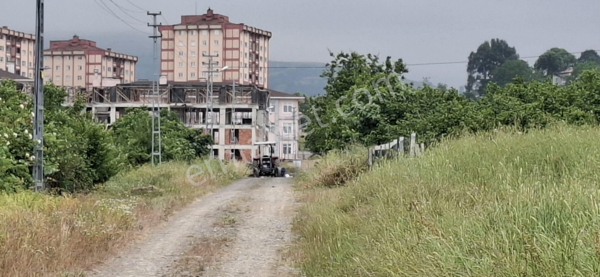 Samsun İlkadım Ataköy 1.050 M2,meslek Lisesi Yanı