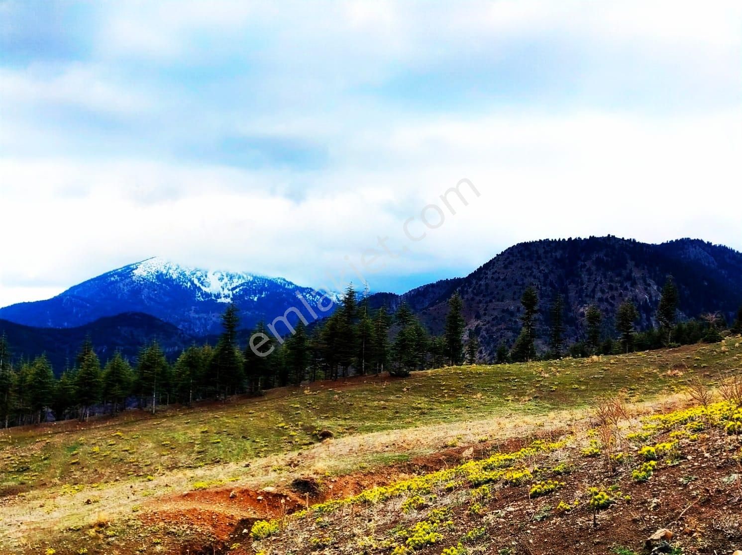 Pozantı Kar Emlaktan Kamışlı Yaylasında 500 M2 Arsa - Görsel 4