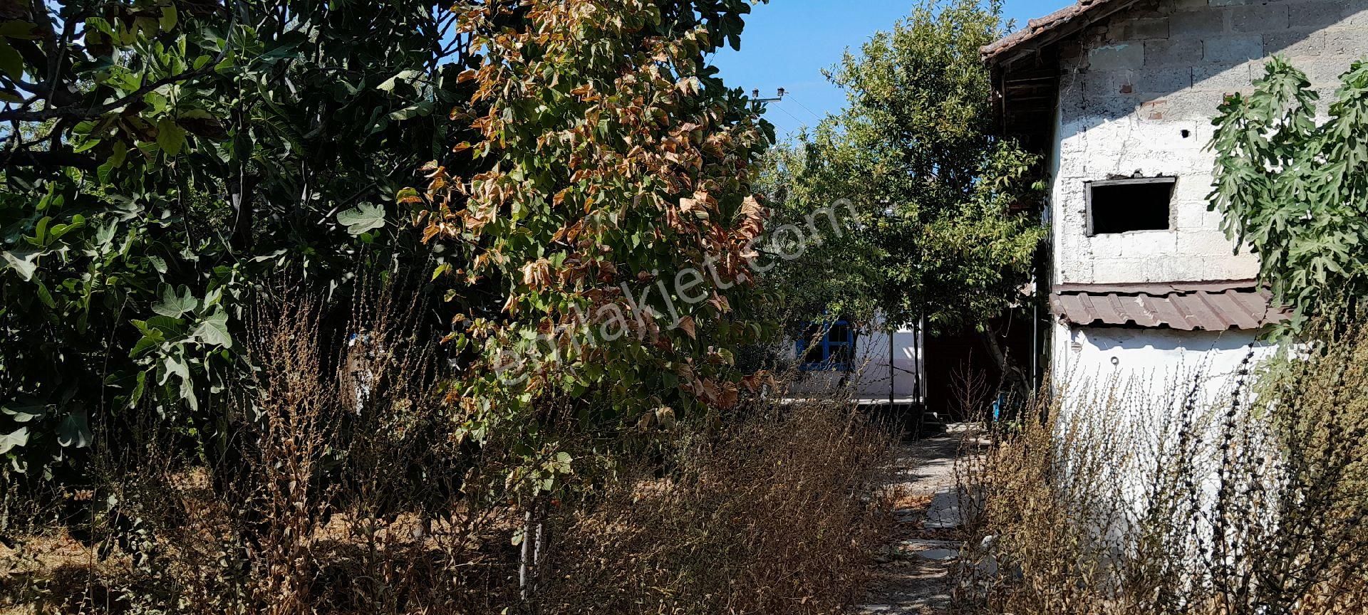 Torbalı Aslanlar Köyünde Merkezde 700 M2 Arsa İçinde Köy Evi - Görsel 6