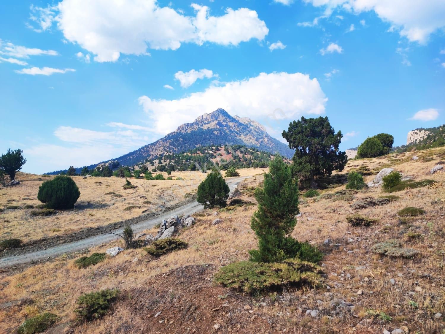 Pozantı Kar Emlaktan Hamidiye Mahallesinde 450 M2 Arsa - Görsel 2