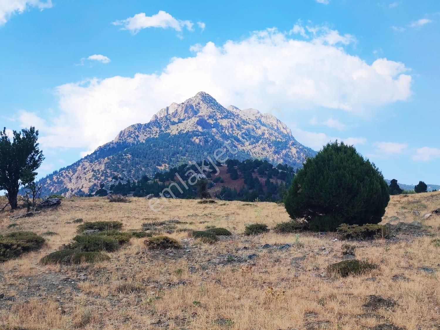 Pozantı Kar Emlaktan Hamidiye Mahallesinde 450 M2 Arsa