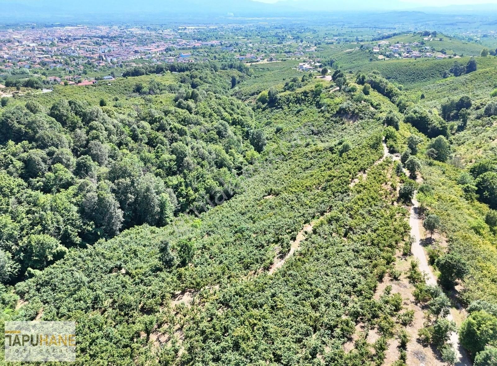 Tapuhane'den Bayraktepe Yolunda Satılık 5,145m2 Arsa - Görsel 4