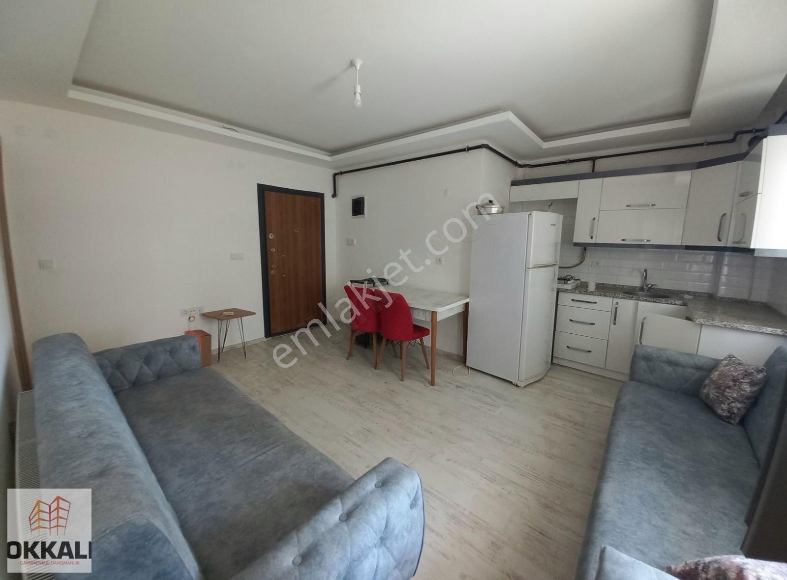 Menemen Seyrek Te Eşyalı Kiralık 1+1 Daire