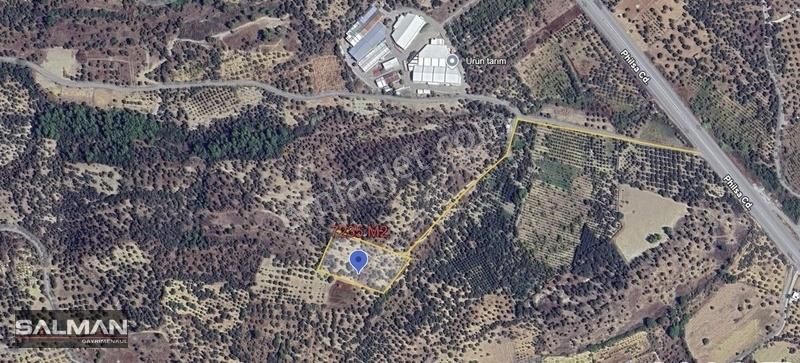 Salman'dan Kemalpaşa Vişneli'de Satılk Yatırmlık Zeytinlik Tarla - Görsel 3