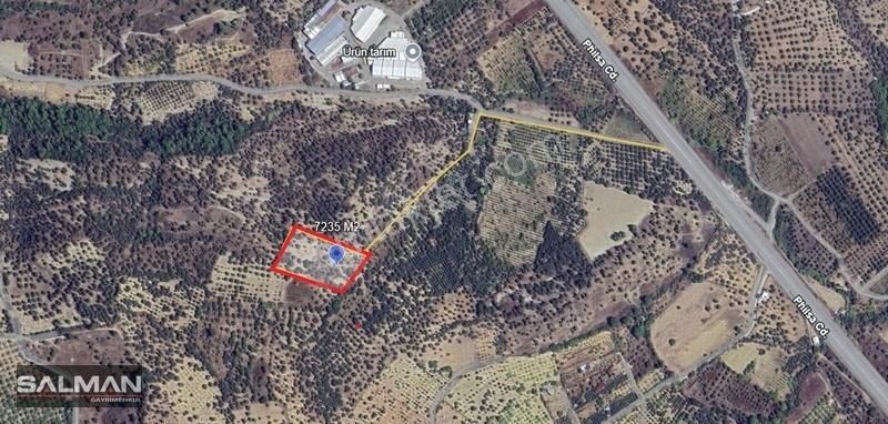 Salman'dan Kemalpaşa Vişneli'de Satılk Yatırmlık Zeytinlik Tarla