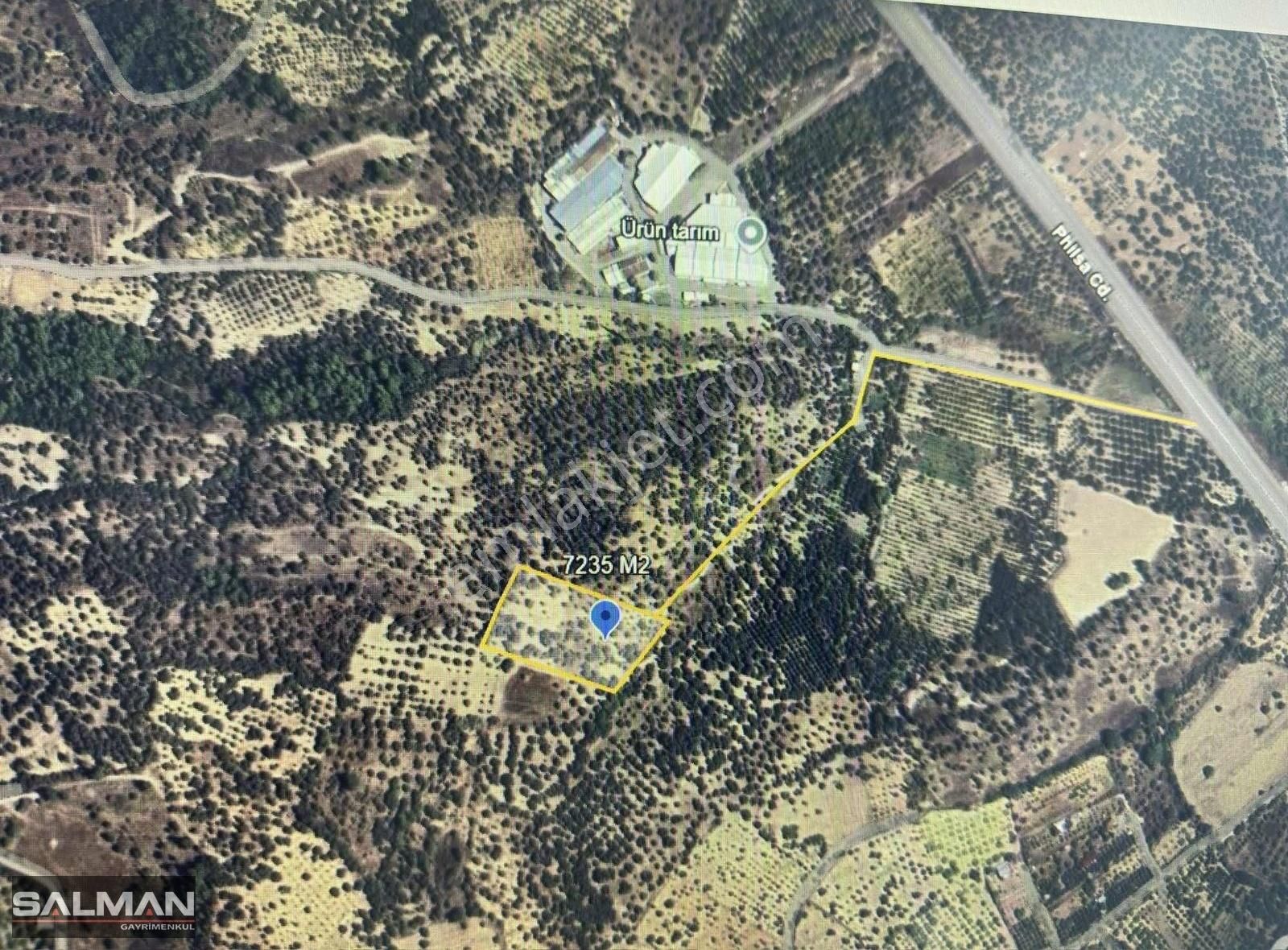 Salman'dan Kemalpaşa Vişneli'de Satılk Yatırmlık Zeytinlik Tarla - Görsel 5