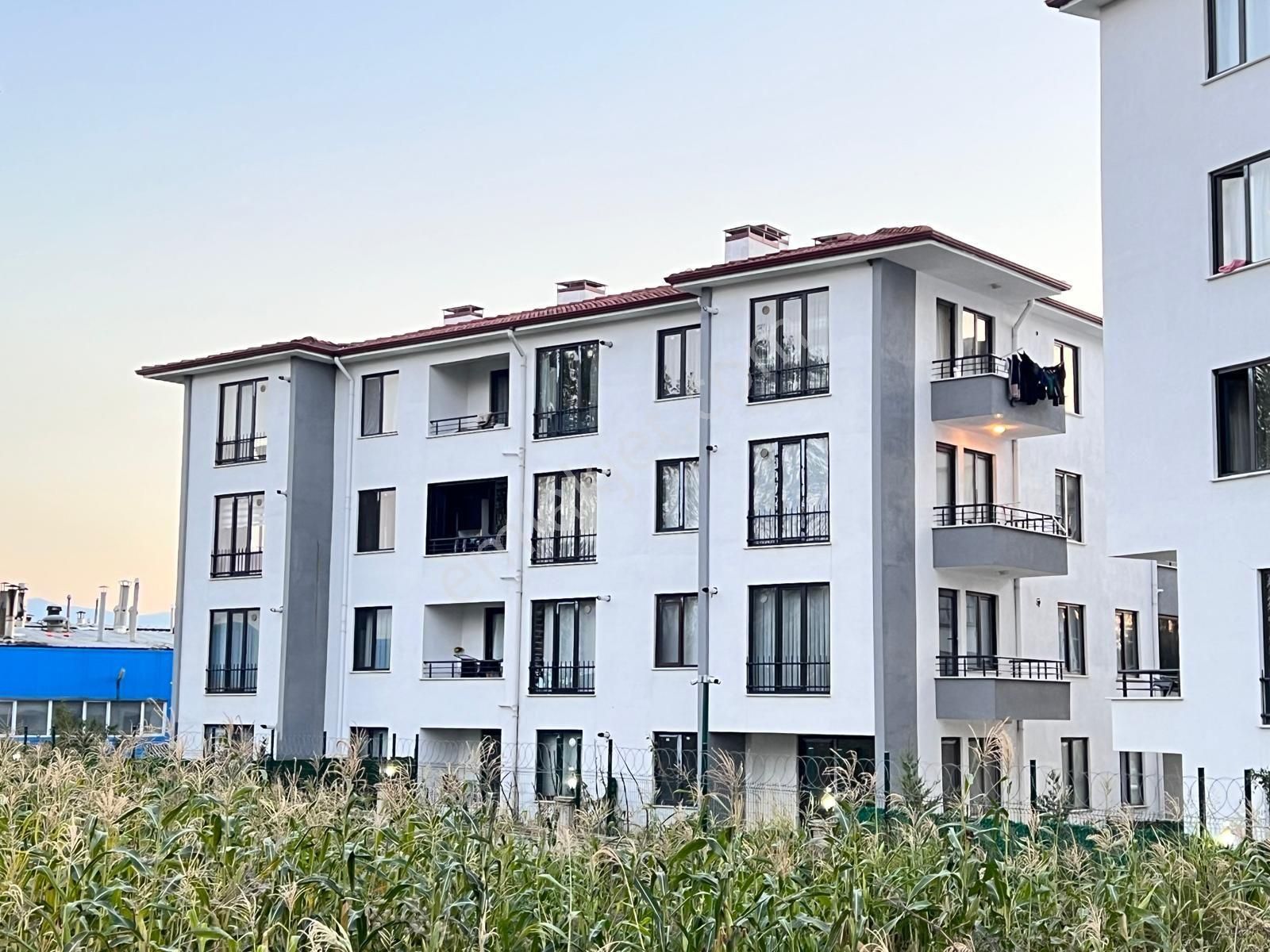 Site İçinde Temiz Dayre
