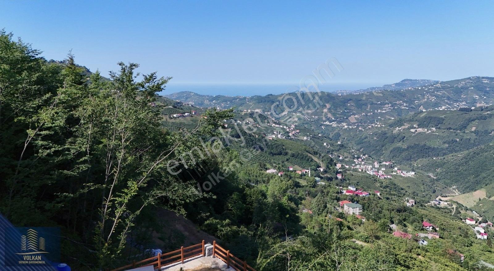 Vyg'den Yıldızların Altında Bungalov Şıklık Ve Sadelik Bir Arada - Görsel 33
