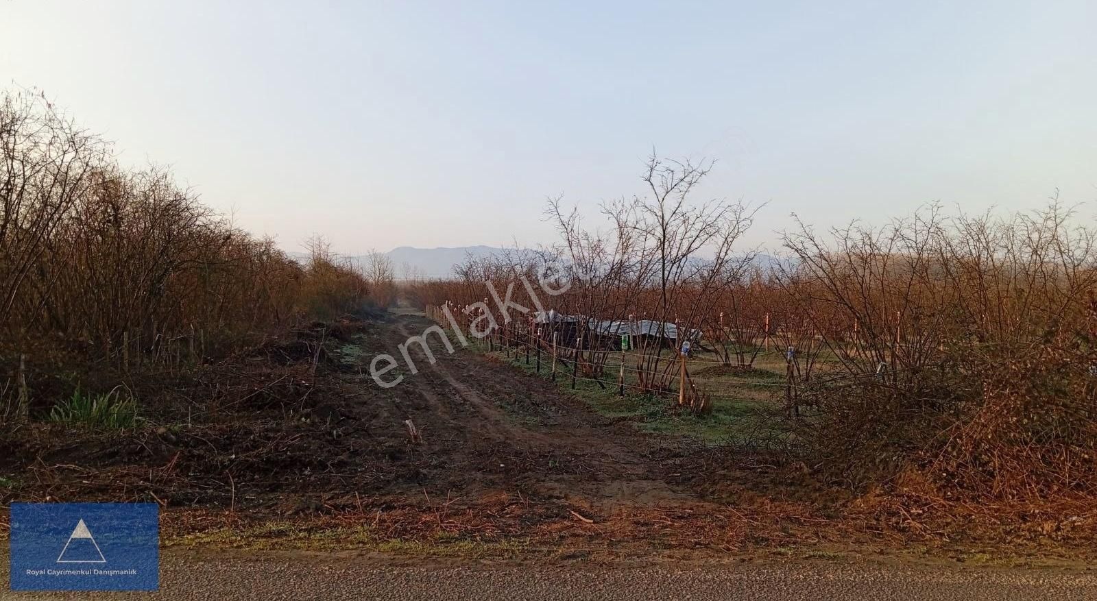 Yunus Çelebi Den Dikbıyık Ta Konut İmarlı Köşe Parsel
