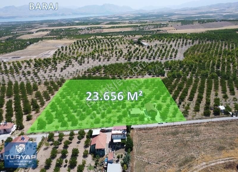 Turyap'tan Battalgazi Karahan'da 23.656 M² Kayısı Bahçesi
