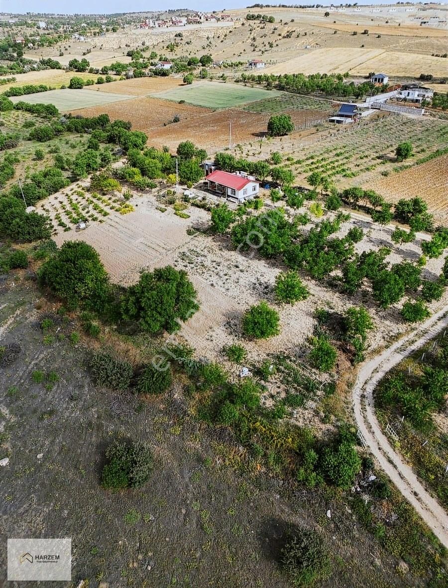 Harzem Gayrimenkulden Sarılı Da Hazır Kurulu Bahçe