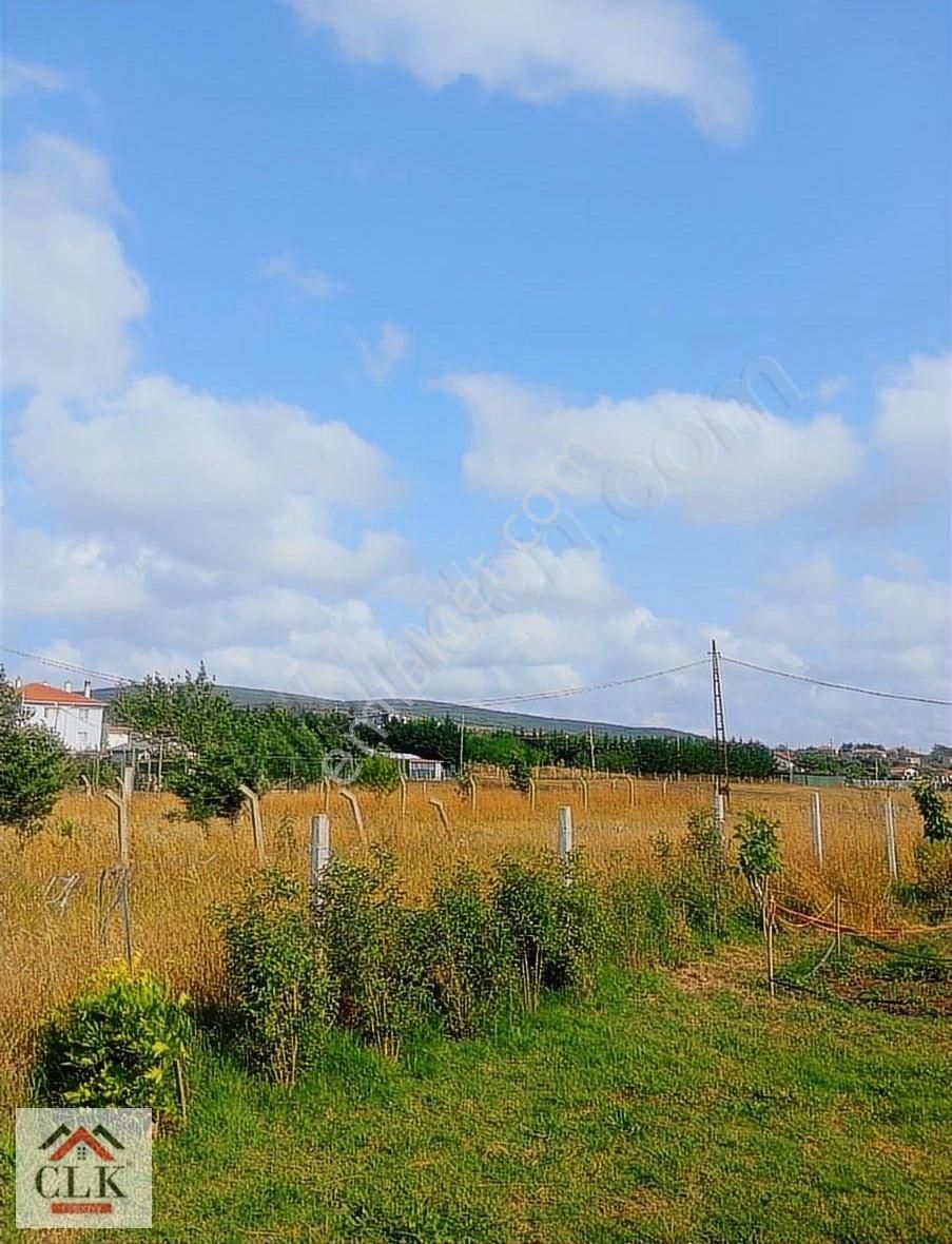 Çatalca Çanakca Merkeze Yürüme Mesafesinde, Elektrik, Su Var. - Görsel 3