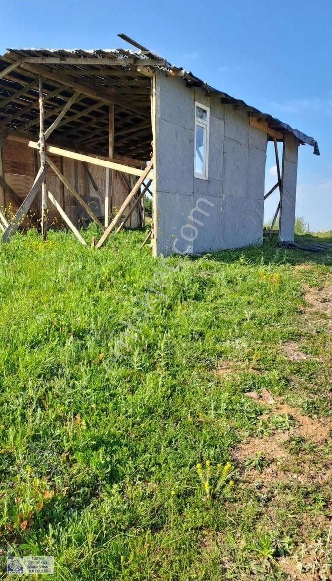 Şile Kurfallı Da Satılık 706 M2 Resmi Yola Sıfır Tarla