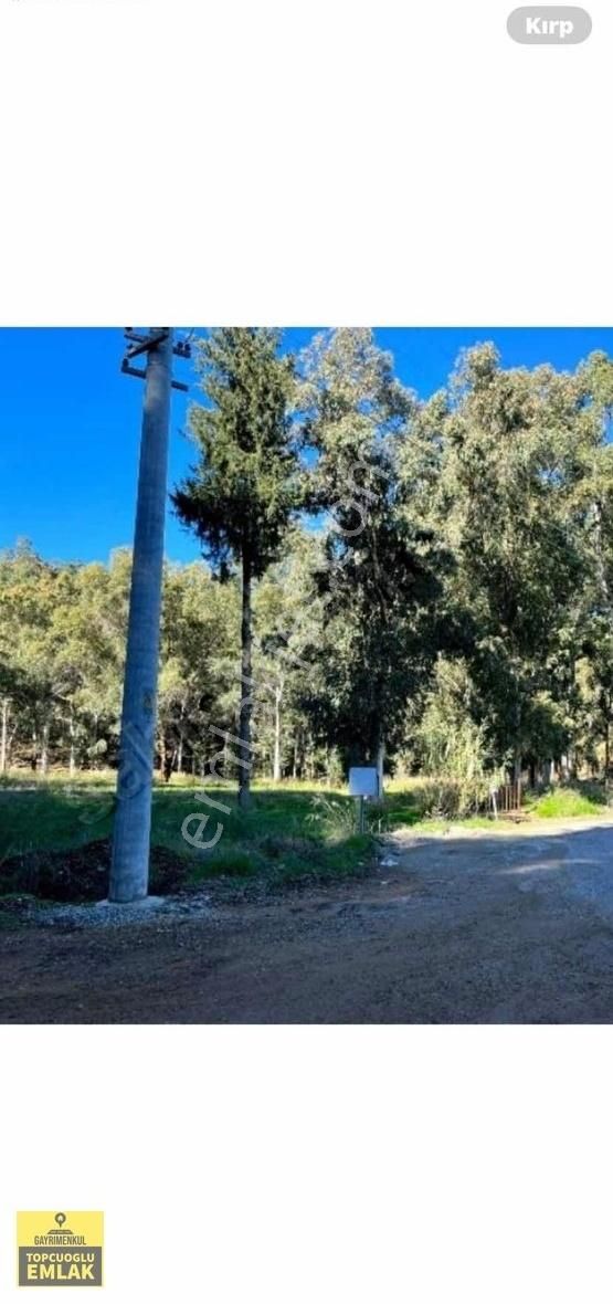 Muğla Ortaca Dereköyde.asvalta Sıfır.5070.metrekare - Görsel 8