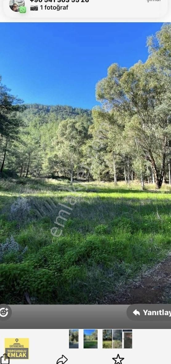 Muğla Ortaca Dereköyde.asvalta Sıfır.5070.metrekare - Görsel 5
