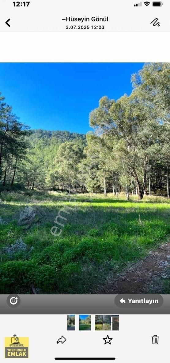 Muğla Ortaca Dereköyde.asvalta Sıfır.5070.metrekare - Görsel 11