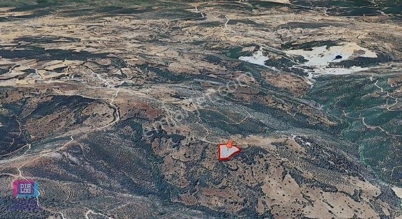 Balıkesir Dursunbey Poyracık Köyünde Satılık Tarla