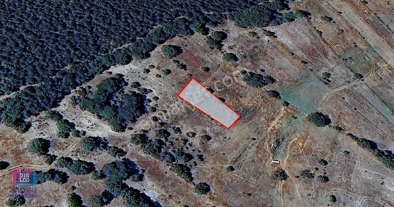 Balıkesir Dursunbey Işıklar Köyünde Satılık Tarla