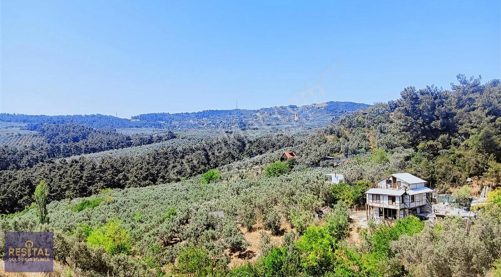 Bursa Mudanya Çepnide Yola Cephe Satılık Zeytinlik - Görsel 10