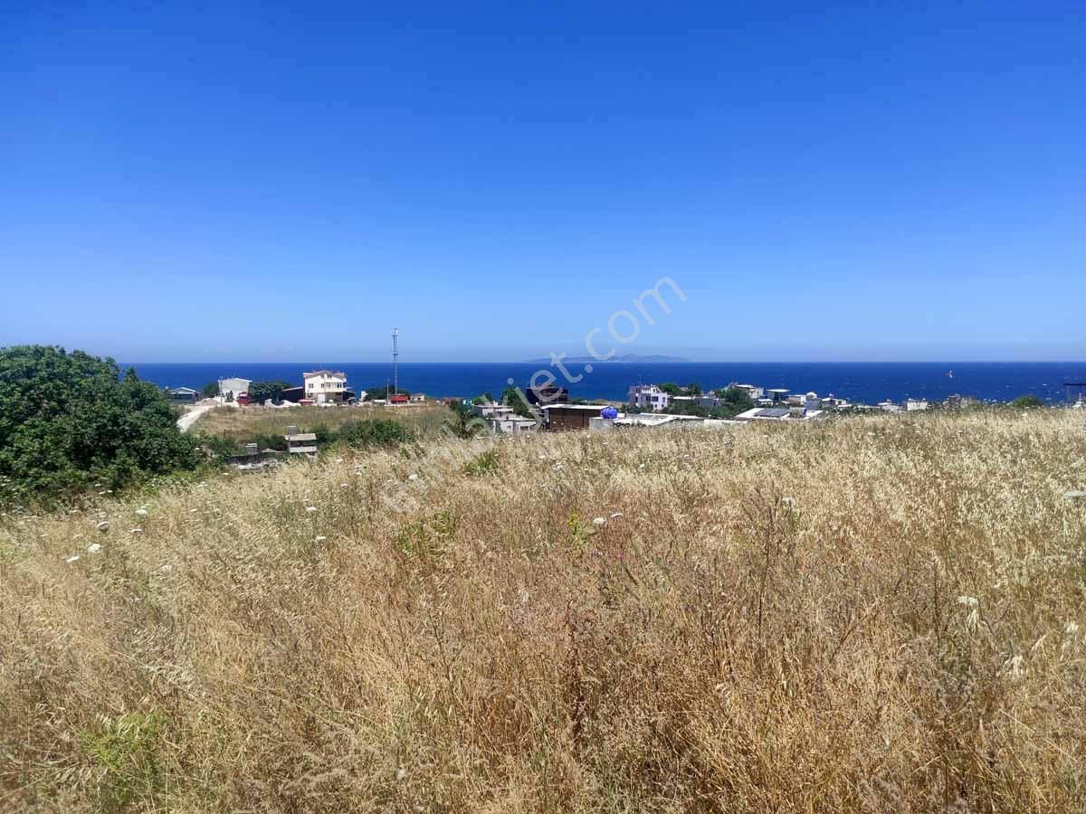 Bursa Mudanya Mesudiye Sahilde Arazi