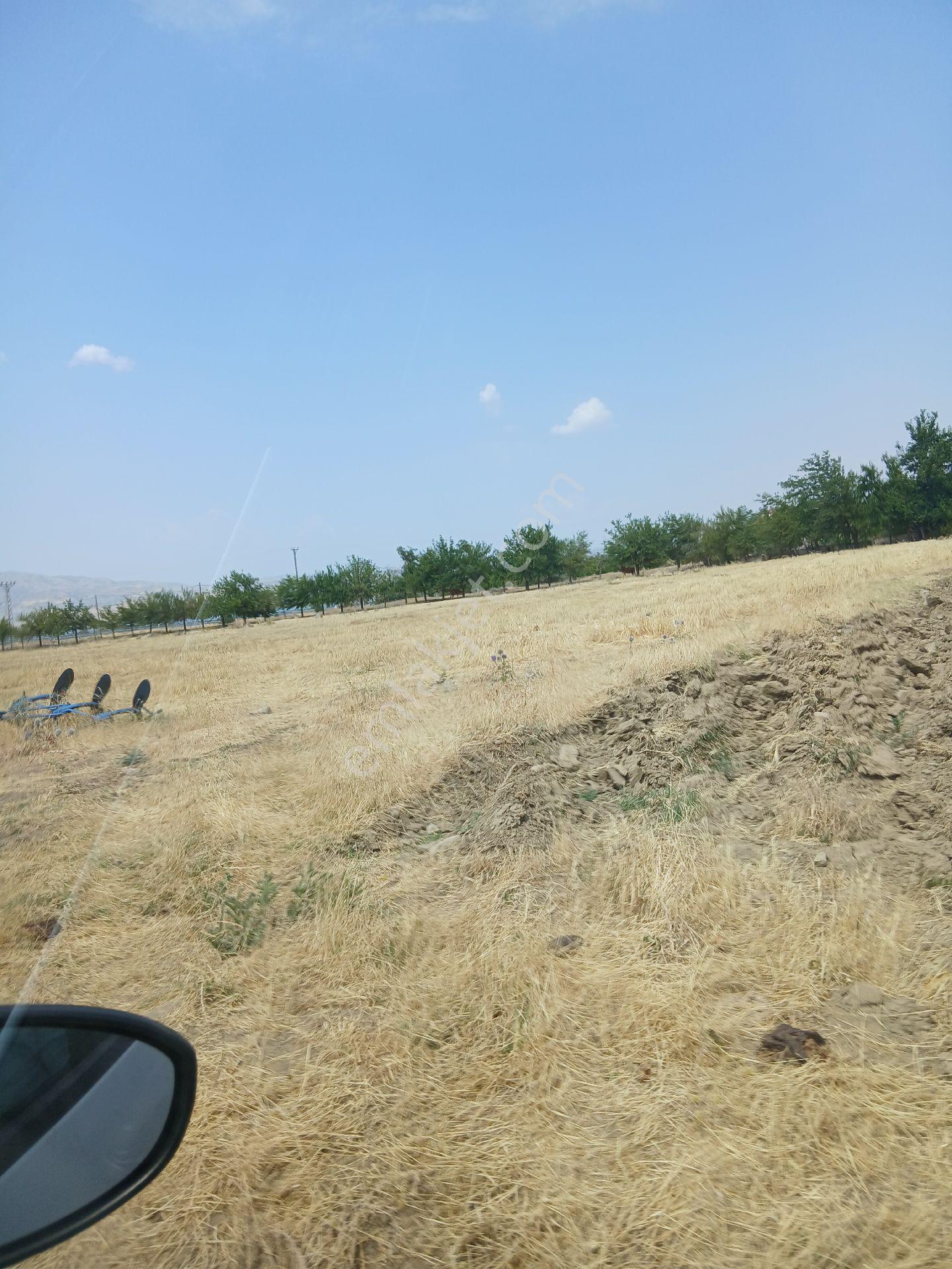 Zerteriç Te Satılık Uygun Tarla - Görsel 11