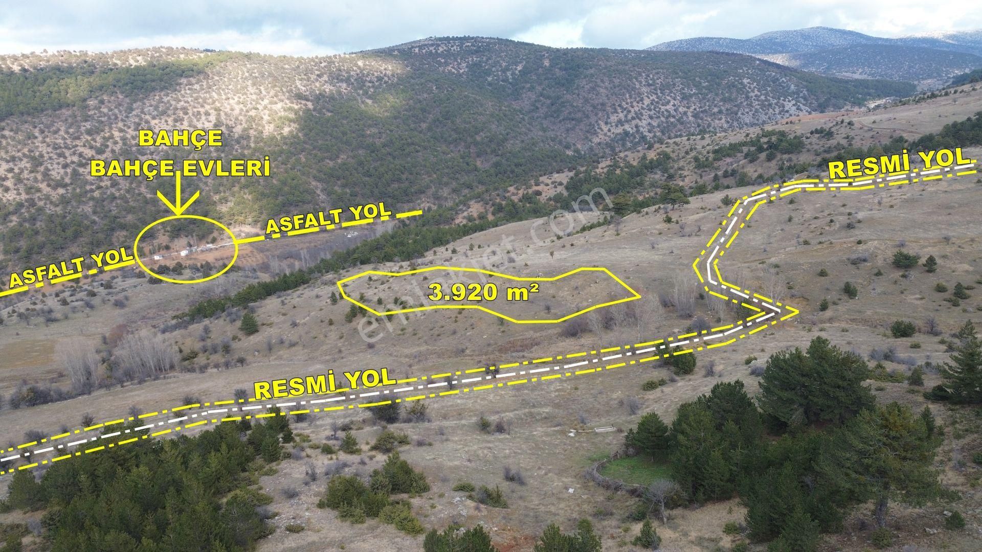 Konya / Ilgın / Gökçeyurt-özlem Mahallesinde 3.920 M² Müstakil Tapulu Tarla