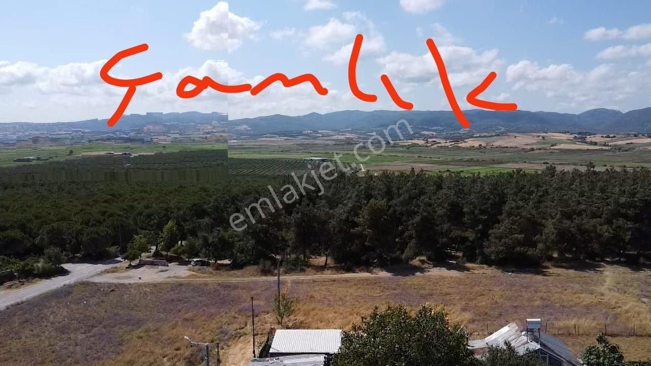 Balıkesir Gönen Plevne Mah. 328 M2 Arsa İçinde İki Katlı Meyve Bahçeli Bina Satılıktır - Görsel 3