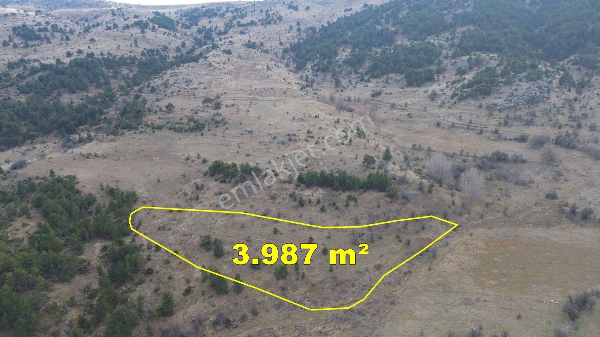 Konya / Ilgın / Gökçeyurt-özlem Mahallesinde 3.987 M² Müstakil Tapulu Tarla