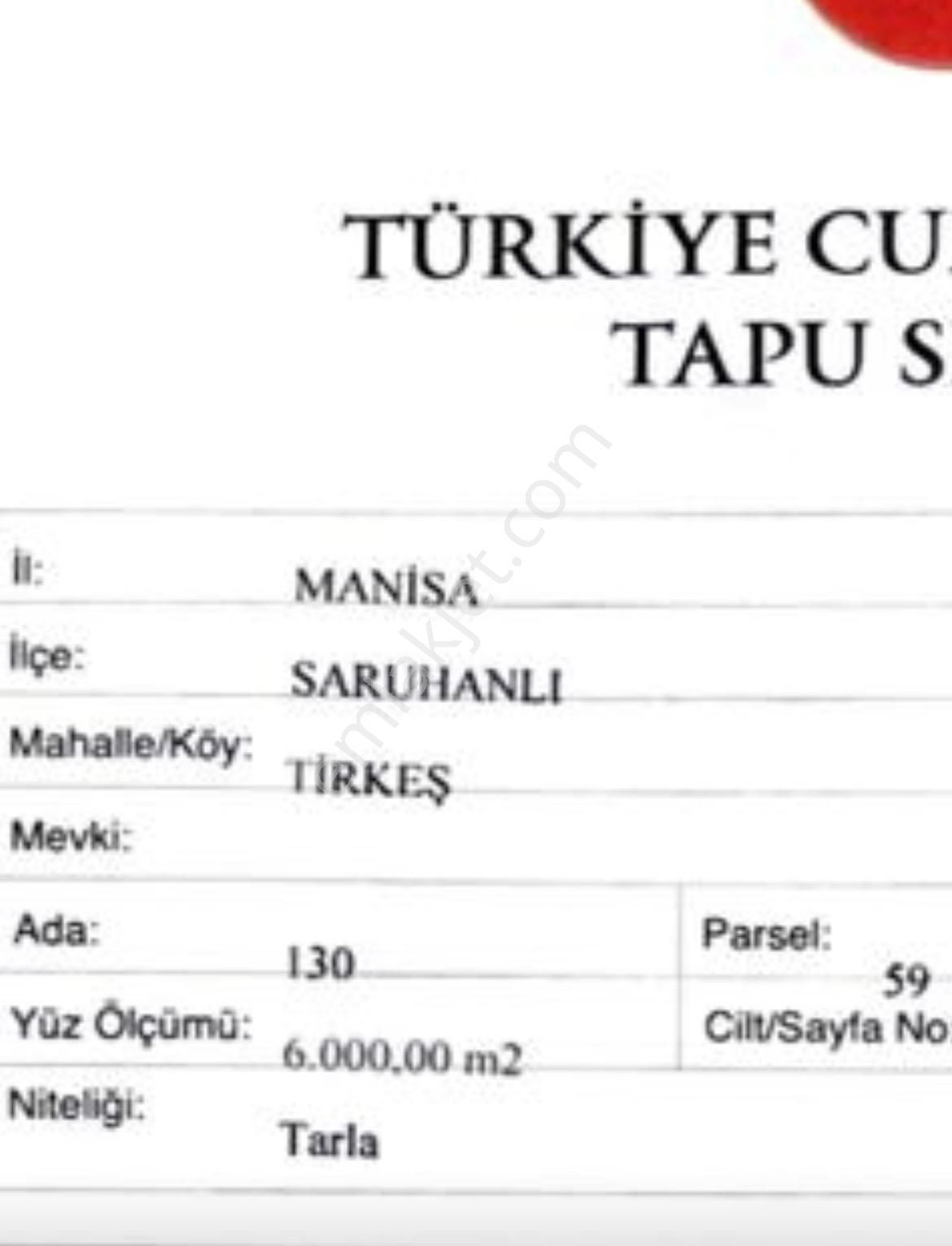 Manisa Saruhanlı 'da Satılık Tarla