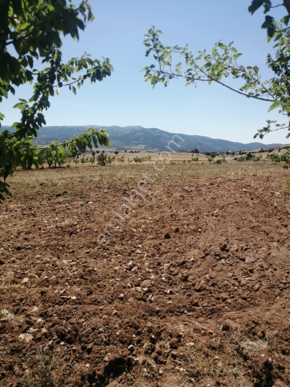 Yeşilovada Satılık Büyük Çiftlik - Görsel 2