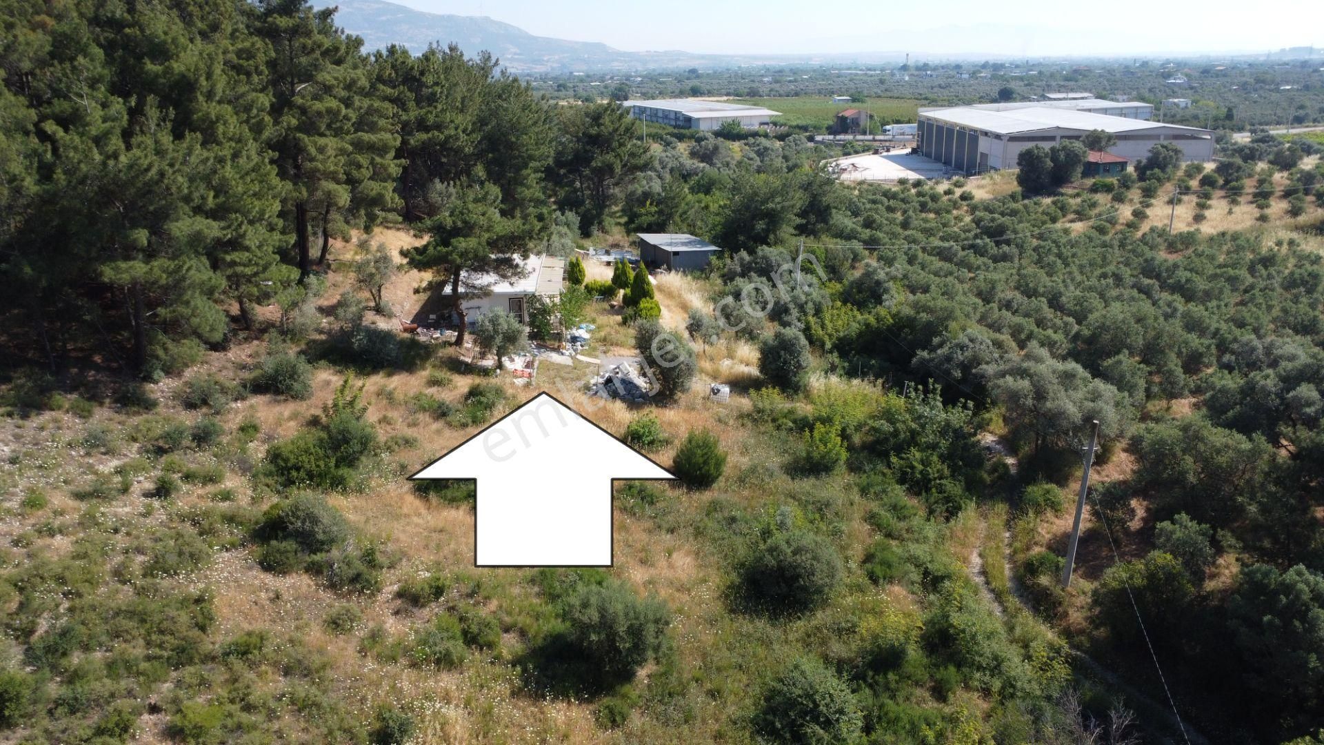Kemalpaşa Cadde Yakını Kiralık Arazi-depo-çiftlik Uygun Yer