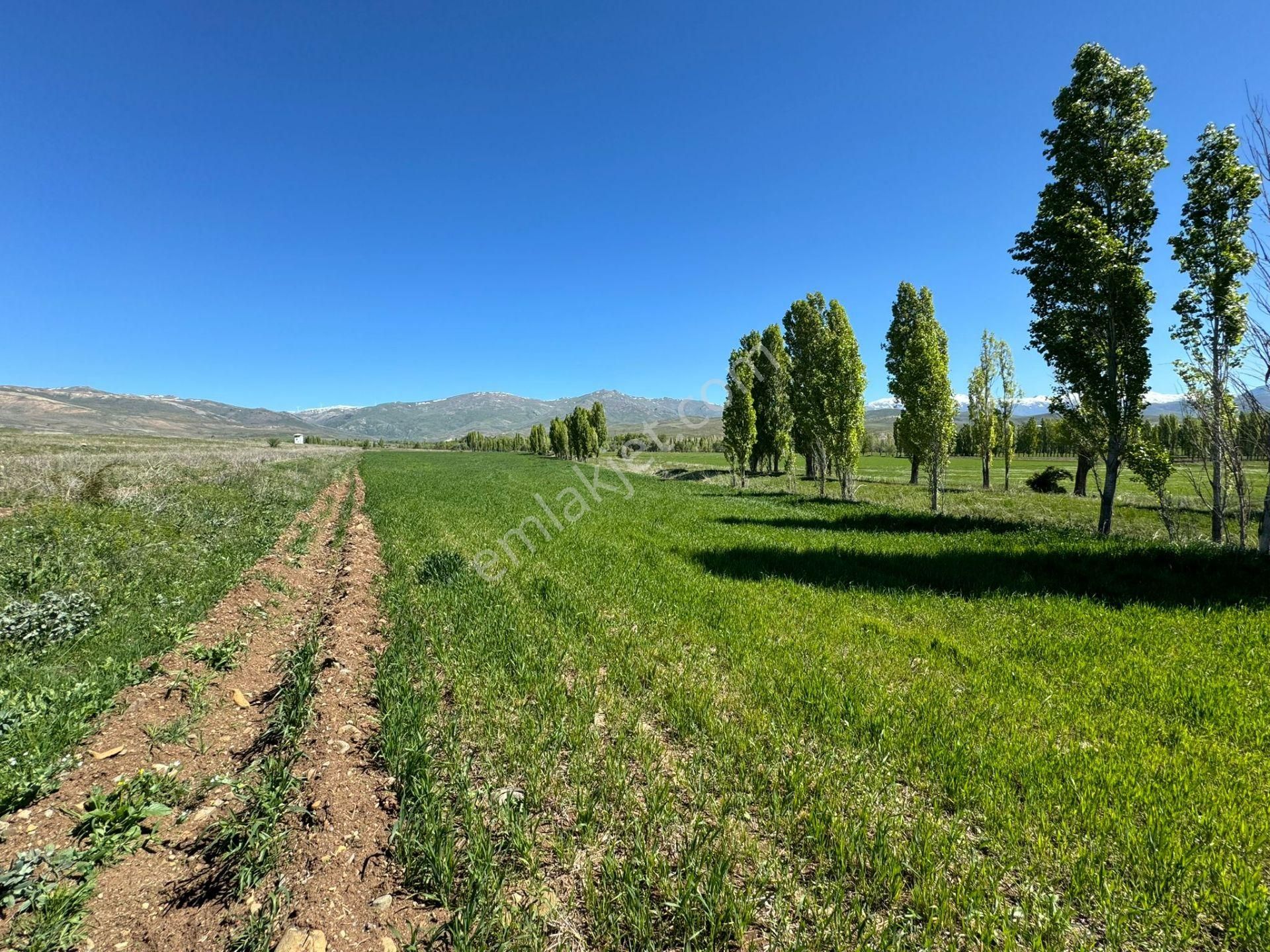 Bayburt Yakudiye'de Satılık Arazi
