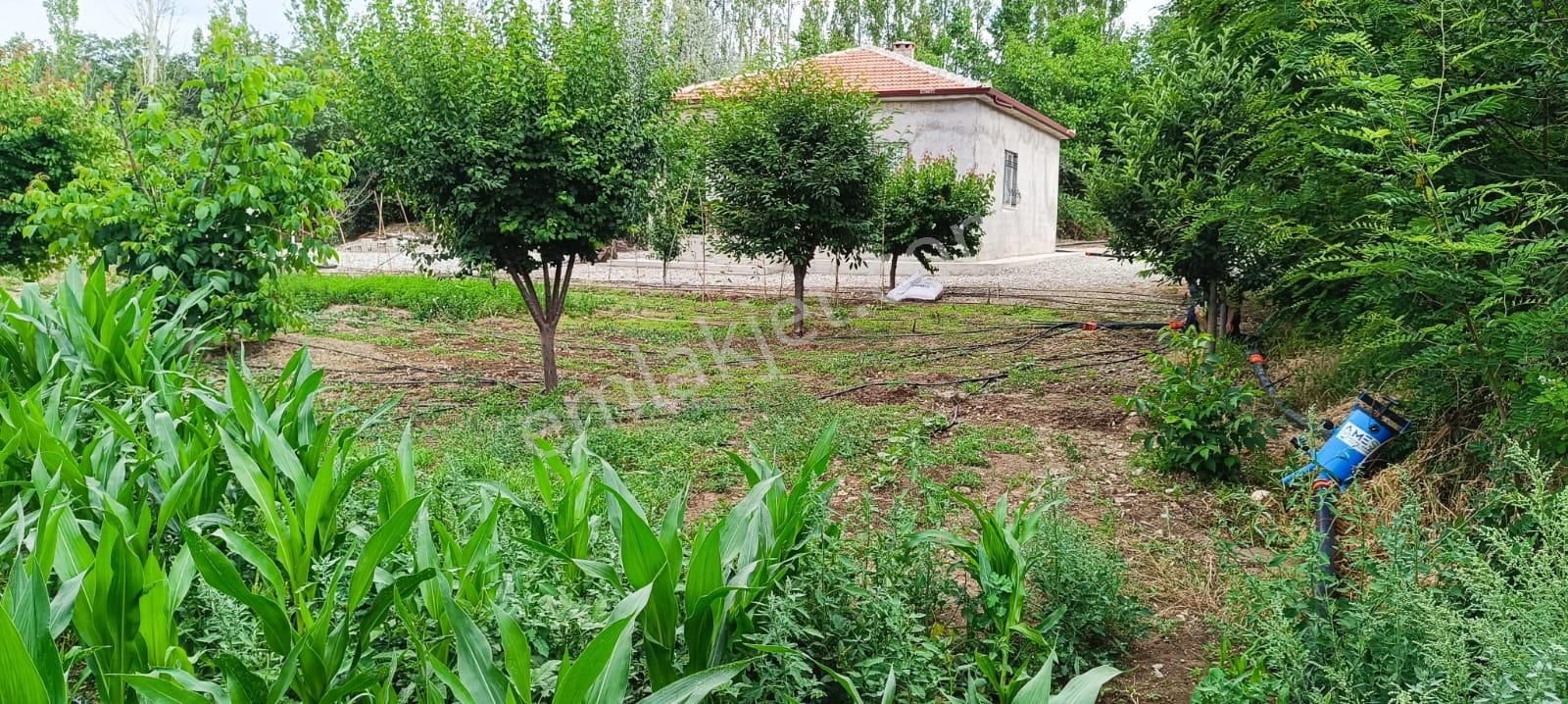 Konya Ereğli Yıldızlı Mah. 148 Ada 10 Parselde 9.615 M² - Görsel 2