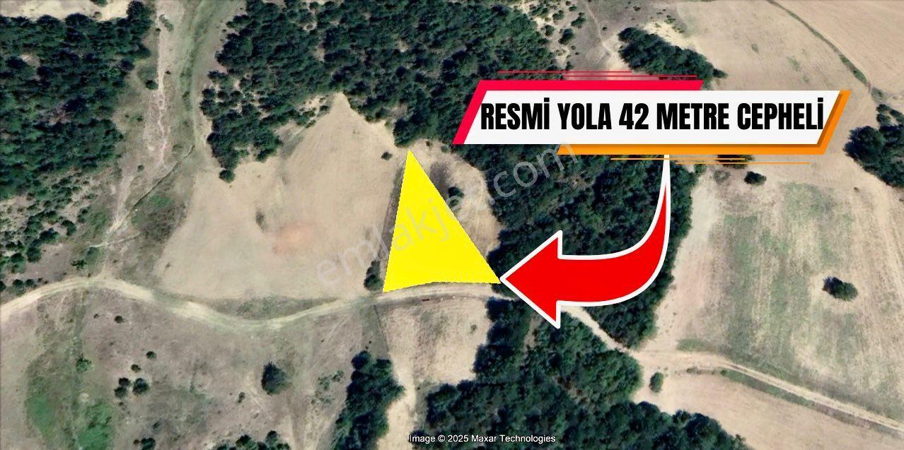 Şehirden Uzak Doğanın Kalbinde 1201 M² Bahçeli 2 Katlı Ahşap Ev - Görsel 27