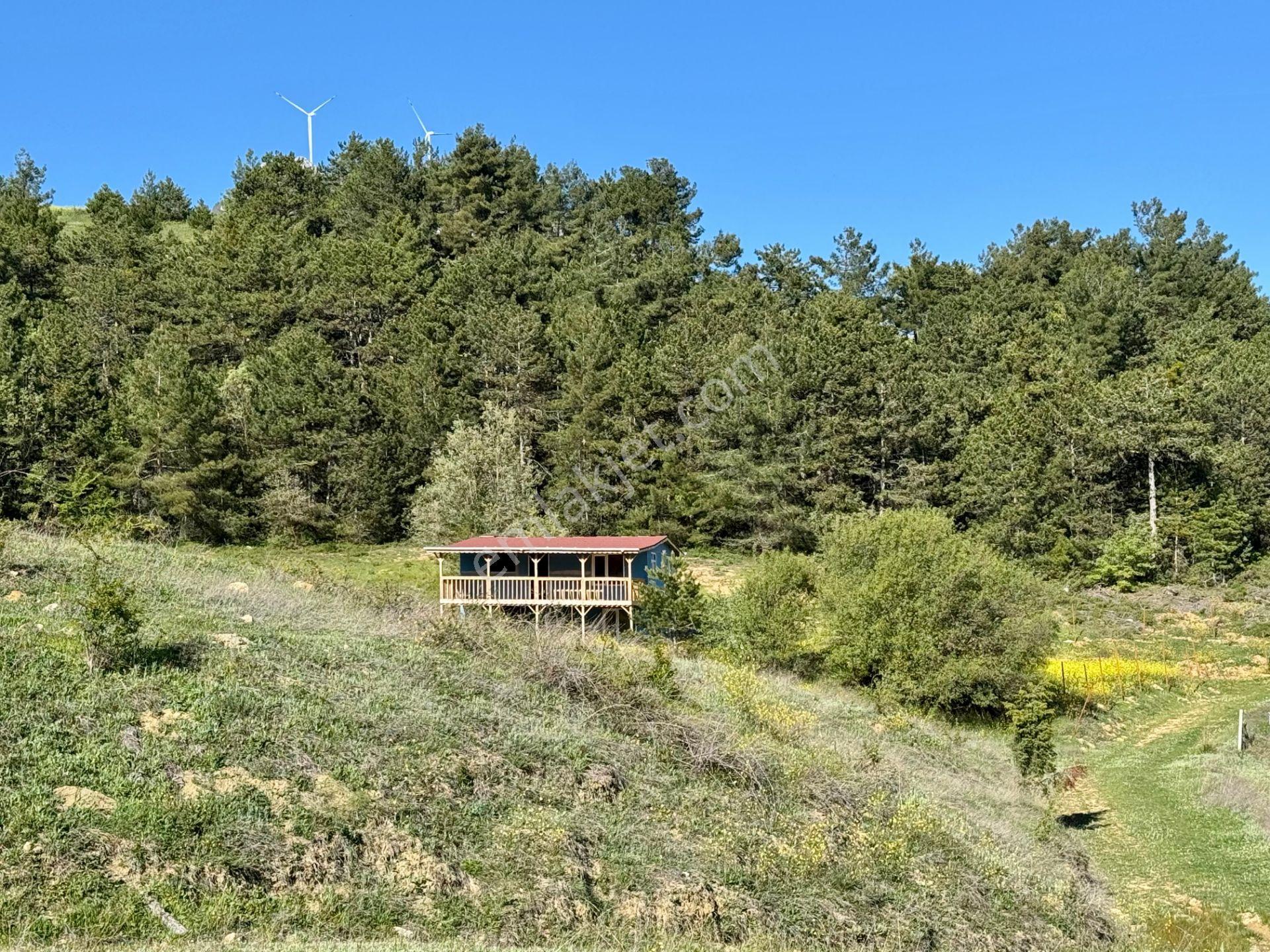 Şehirden Uzak Doğanın Kalbinde 1201 M² Bahçeli 2 Katlı Ahşap Ev - Görsel 26