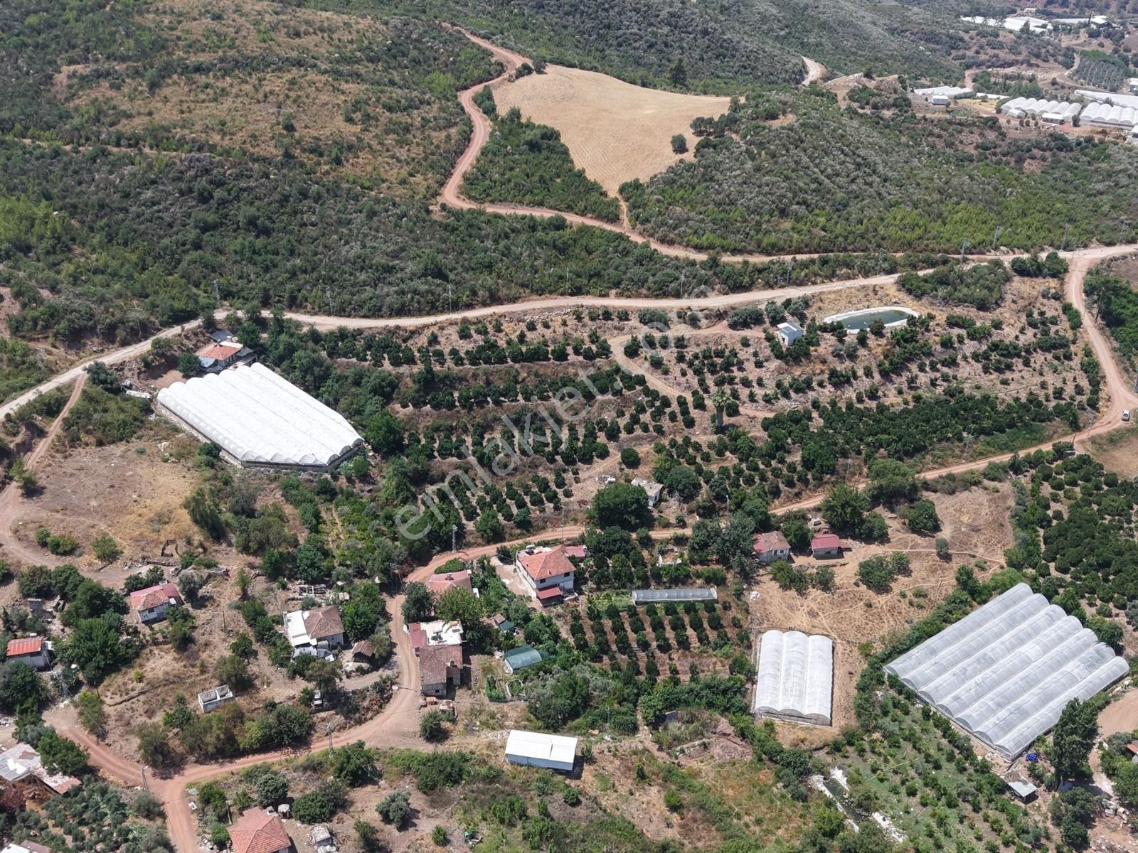 Bmk Emlaktan Antalya Kumluca Toptaşta Satılık Tek Tapulu Bahçe - Görsel 4