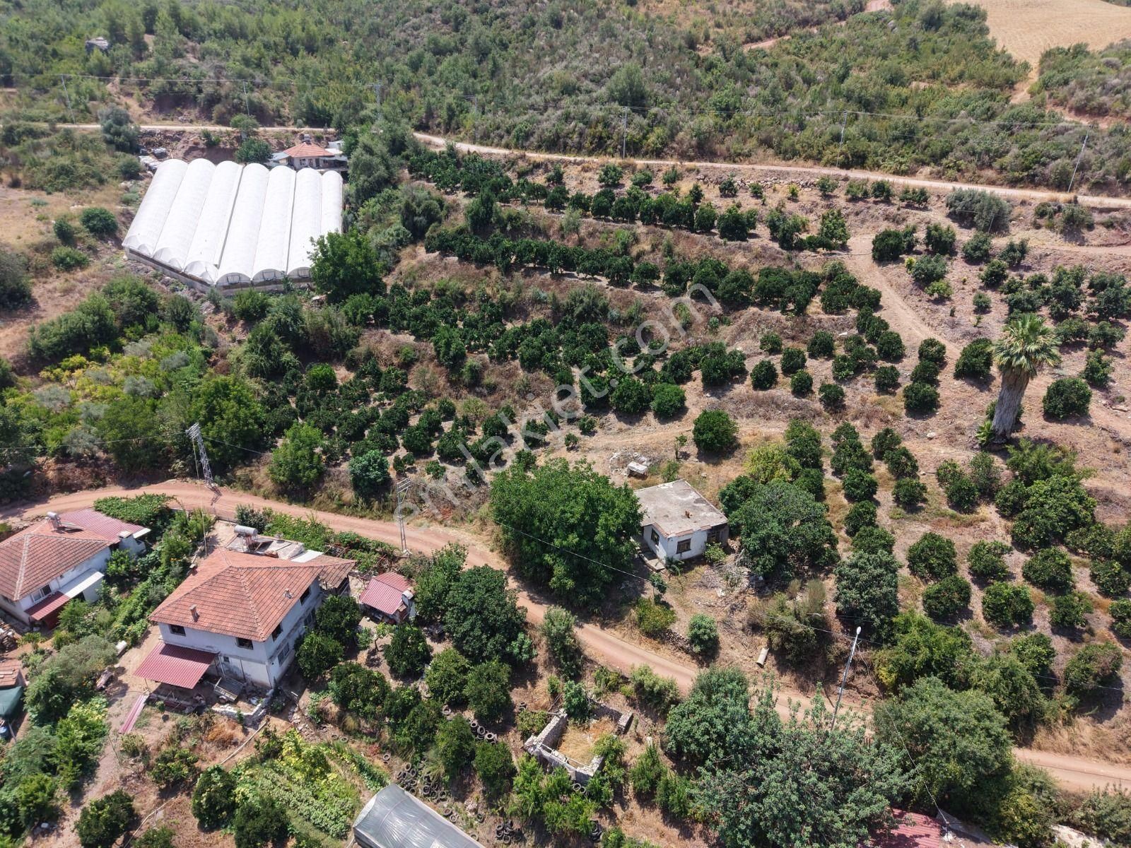 Bmk Emlaktan Antalya Kumluca Toptaşta Satılık Tek Tapulu Bahçe - Görsel 8