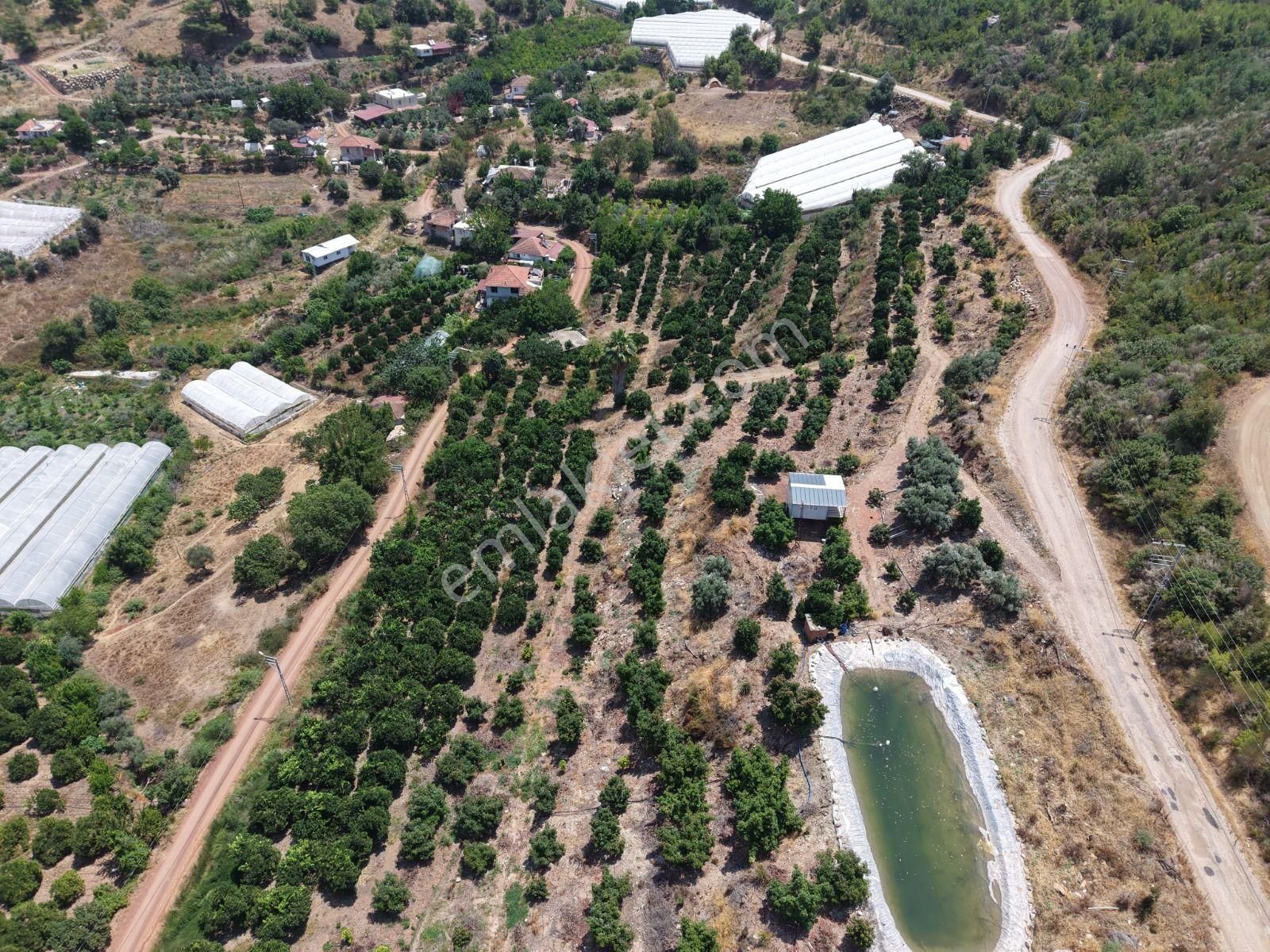 Bmk Emlaktan Antalya Kumluca Toptaşta Satılık Tek Tapulu Bahçe - Görsel 12