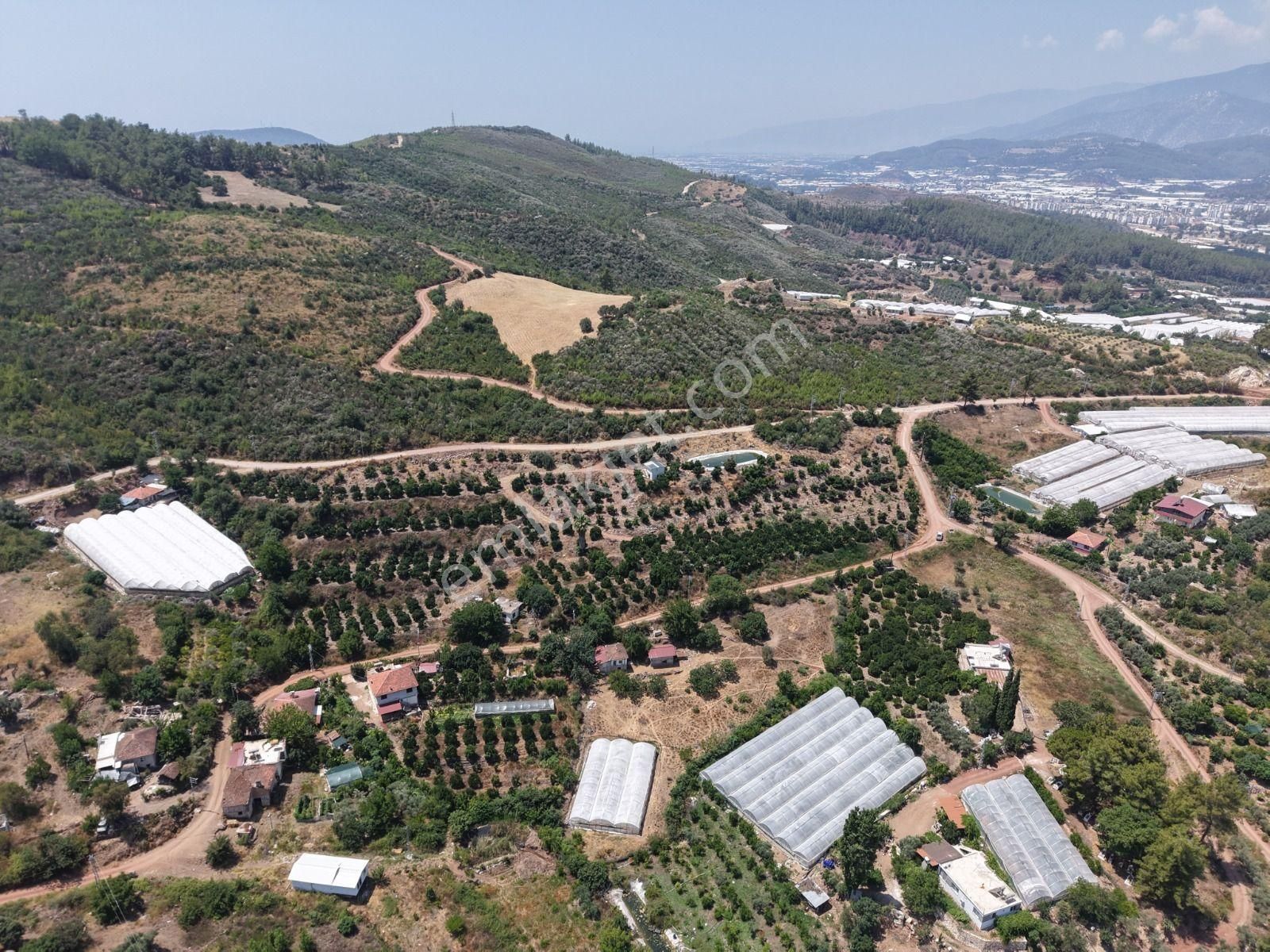 Bmk Emlaktan Antalya Kumluca Toptaşta Satılık Tek Tapulu Bahçe - Görsel 3