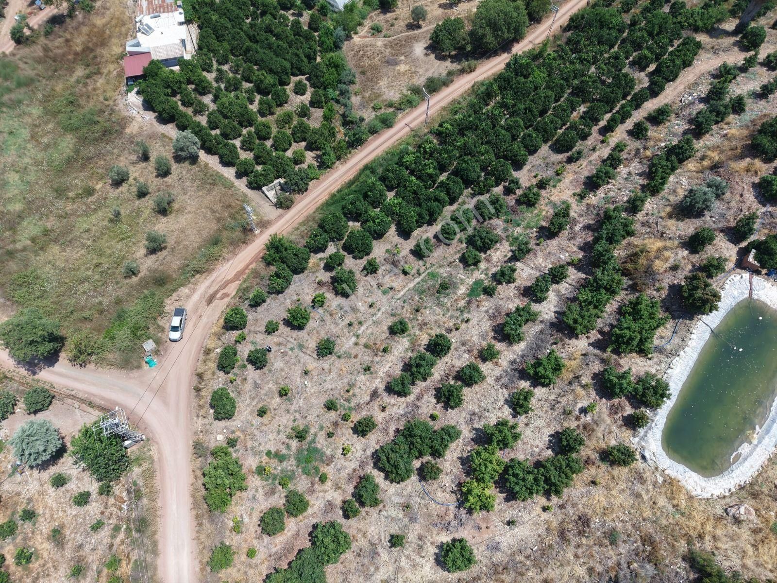 Bmk Emlaktan Antalya Kumluca Toptaşta Satılık Tek Tapulu Bahçe - Görsel 10