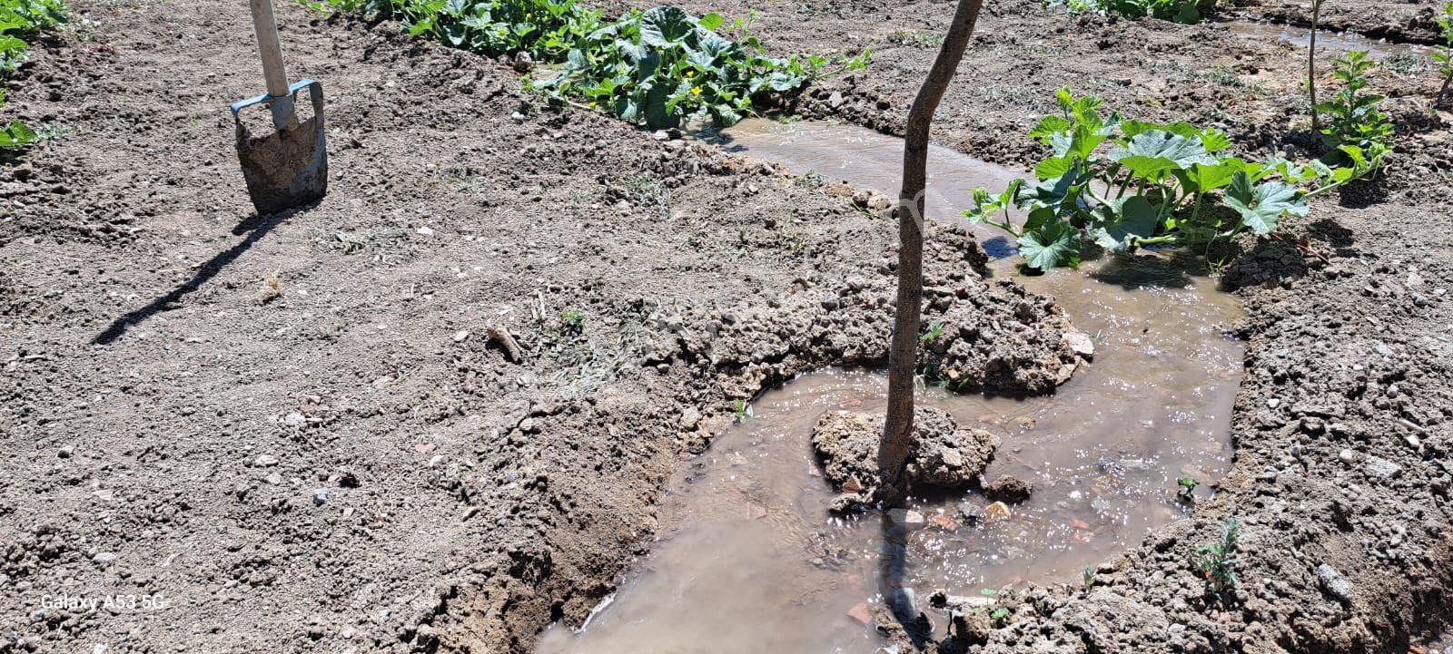 Güngör Emlaktan Ahmetefendi Mahallesinde Satılık Arsa - Görsel 12